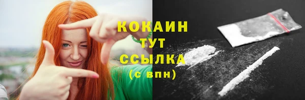 хмурый Вяземский