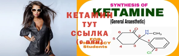 стаф Вязники
