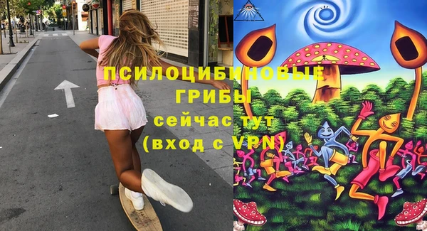 хмурый Вяземский