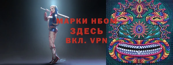 стаф Вязники