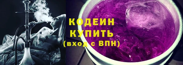 хмурый Вяземский