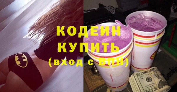 хмурый Вяземский