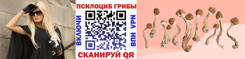 Псилоцибиновые грибы GOLDEN TEACHER  Купить  Ипатово 